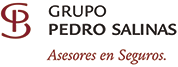 Grupo Pedro Salinas